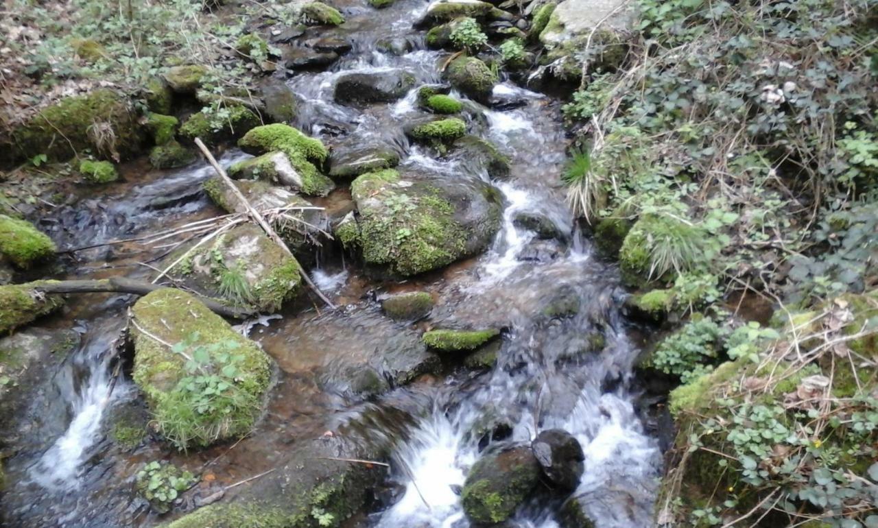 Eselgut Βίλα Hofkirchen im Mühlkreis Εξωτερικό φωτογραφία